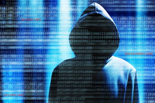 Хакеры похитили 47 000 номеров соцстрахования, в том числе у Сильвестра Сталлоне - «Интернет и связь»