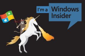 Новых сборок для Windows Insider на этой неделе не будет - «Windows»