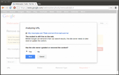 Развивается URL Removal Tool от Google - «Интернет»