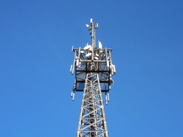 Мобильные операторы будут бороться с трафиком VoIP-сервисов - «Новости сети»