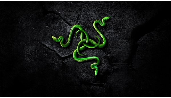 Razer приписывают намерение выпустить смартфон - «Новости сети»