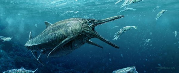 Ученые показали останки древнего морского монстра из Шотландии - «Интернет и связь»