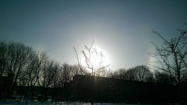 "Три Солнца". Жители Беларуси могли наблюдать в небе оптический феномен - «Интернет и связь»