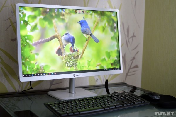 Как работают белорусские моноблоки: честный тест - «Интернет и связь»