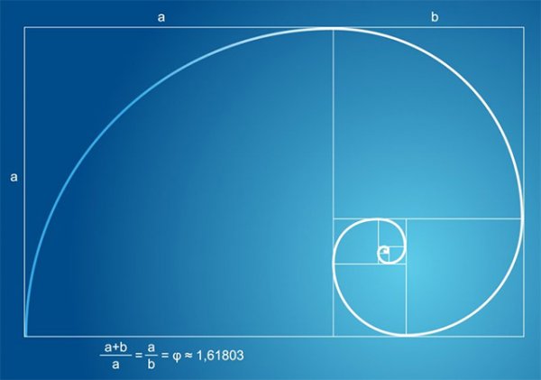 Принцип золотого сечения в дизайне сайтов - «Веб-дизайн»