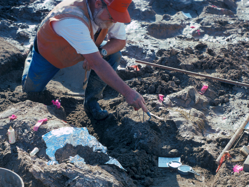 Американские археологи. Archaeologist Kill Doctor Bones..