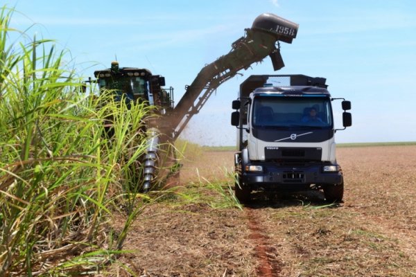 Самоуправляемые грузовики Volvo позволят увеличить урожай сахарного тростника в Бразилии - «Новости сети»