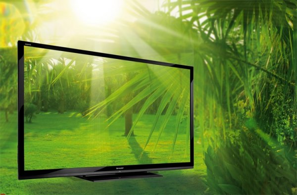 Sharp может начать выпуск телевизионных OLED-панелей в 2018 году - «Новости сети»