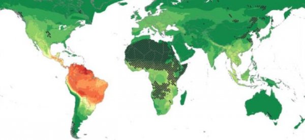 Ученые: Южная Америка таит угрозу здоровью человечества | - «Интернет и связь»