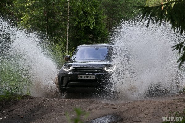 Огромные доты и кости солдат. Что осталось от границы посреди Беларуси | - «Интернет и связь»