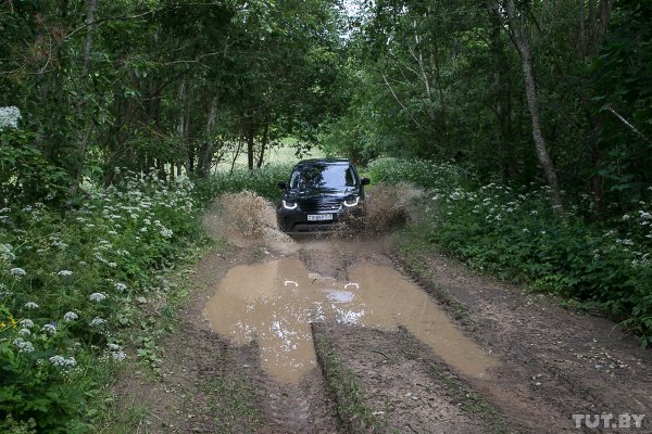 Огромные доты и кости солдат. Что осталось от границы посреди Беларуси | - «Интернет и связь»