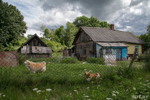 Огромные доты и кости солдат. Что осталось от границы посреди Беларуси | - «Интернет и связь»