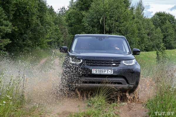 Огромные доты и кости солдат. Что осталось от границы посреди Беларуси | - «Интернет и связь»