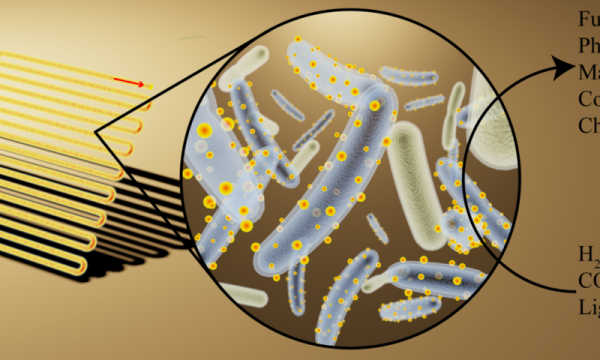 Созданы пожирающие свет бактерии-киборги | - «Интернет и связь»