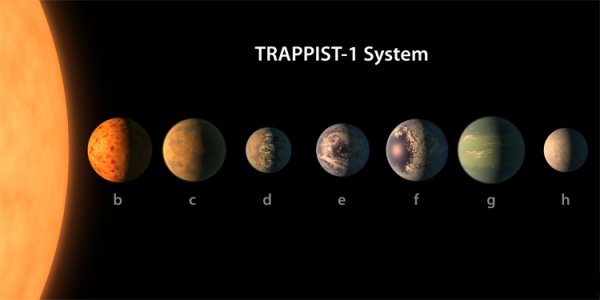 TRAPPIST-1 с землеподобными планетами оказалась старше Солнечной системы - «Новости сети»