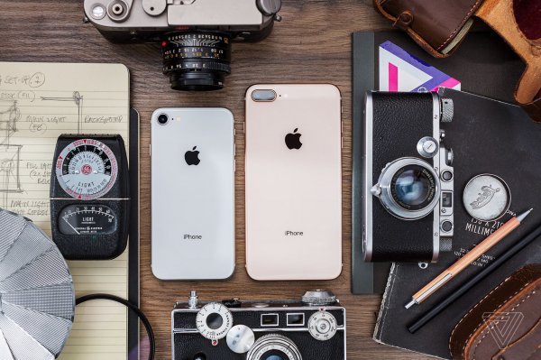 Больше не JPEG: на устройствах Apple новый формат фотографий | - «Интернет и связь»