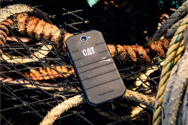 IFA 2017: «бронированные» смартфоны CAT S31 и S41 с мощным аккумулятором - «Новости сети»