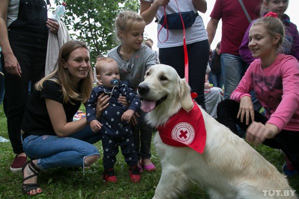 Мэр на броневике и редкая немецкая самоходка: как в Минске прошел "День танкиста" | - «Интернет и связь»