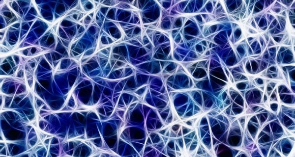 Ученые впервые смогли подключить человеческий мозг к Сети | - «Интернет и связь»