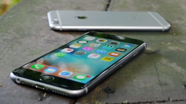 В Беларуси начали продаваться восстановленные iPhone 6s | 42.TUT.BY - «Интернет и связь»