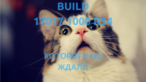 Build 17017.1000 для Readstone 4 - что нового и почему мы его получили - «Windows»