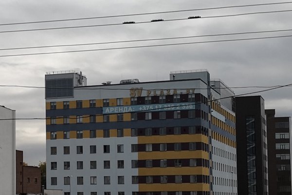 Качество чьих снимков вам понравилось больше? - ОПРОСЫ | - «Интернет и связь»