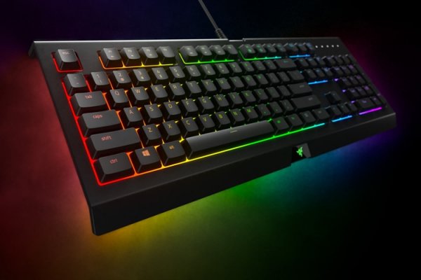 Клавиатуры Razer Cynosa Chroma: RGB-подсветка и защита от пролитой жидкости - «Новости сети»