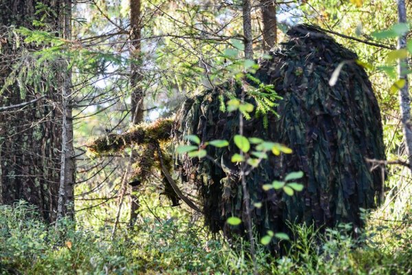 Опасные "лешие": как маскируются снайперы из Беларуси и России | - «Интернет и связь»