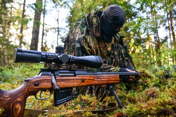 Опасные "лешие": как маскируются снайперы из Беларуси и России | - «Интернет и связь»