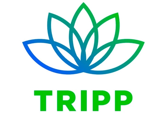 Tripp поможет управлять настроением при помощи виртуальной реальности - «Новости сети»