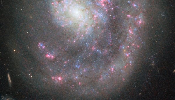 Фото дня: спиральная галактика-безрукавка в созвездии Гончих Псов - «Новости сети»