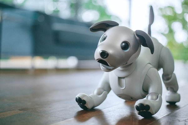 Робособака Sony aibo нового поколения стала более естественной и умной - «Новости сети»