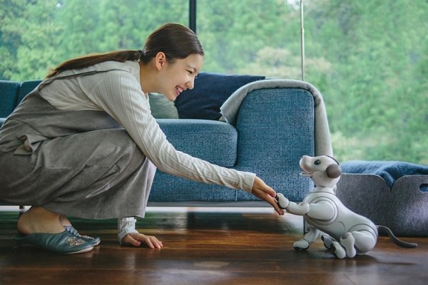 Робособака Sony aibo нового поколения стала более естественной и умной - «Новости сети»