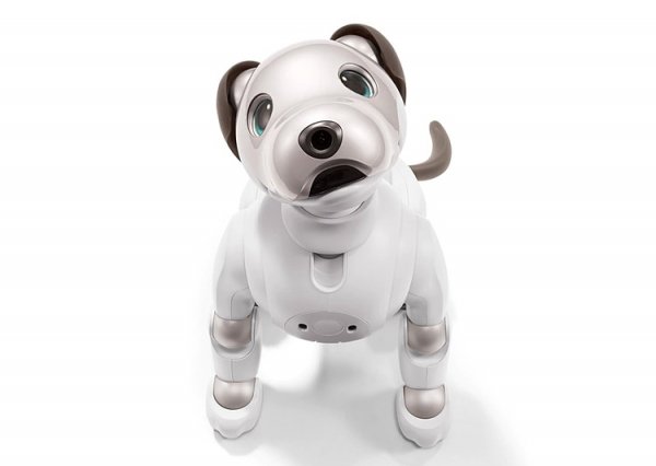 Робособака Sony aibo нового поколения стала более естественной и умной - «Новости сети»