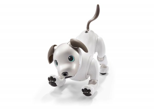 Робособака Sony aibo нового поколения стала более естественной и умной - «Новости сети»