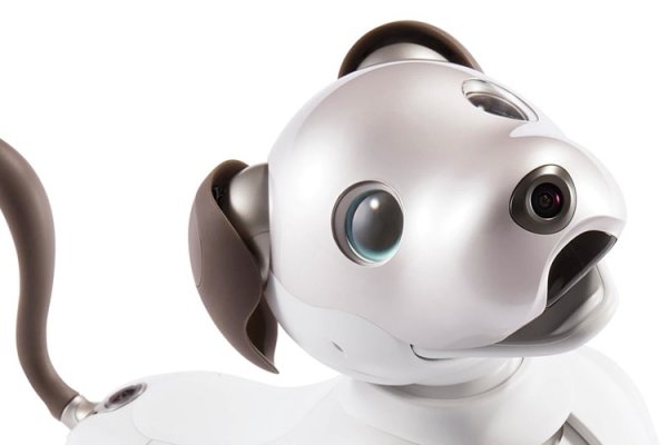 Робособака Sony aibo нового поколения стала более естественной и умной - «Новости сети»