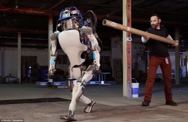Видео дня: робот Boston Dynamics Atlas делает обратное сальто - «Новости сети»