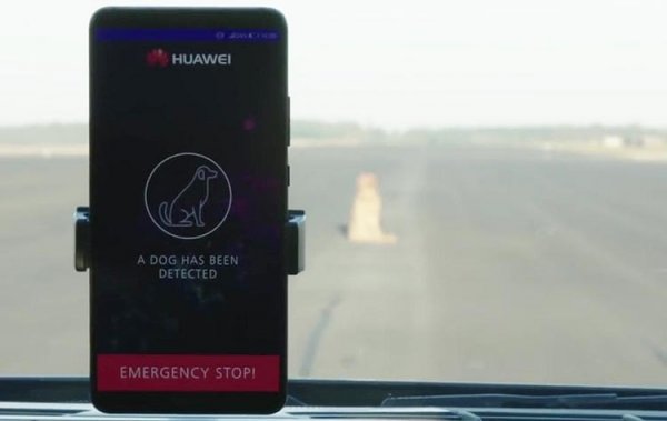 Видео: ИИ в Huawei Mate 10 Pro управляет машиной и объезжает собак - «Новости сети»