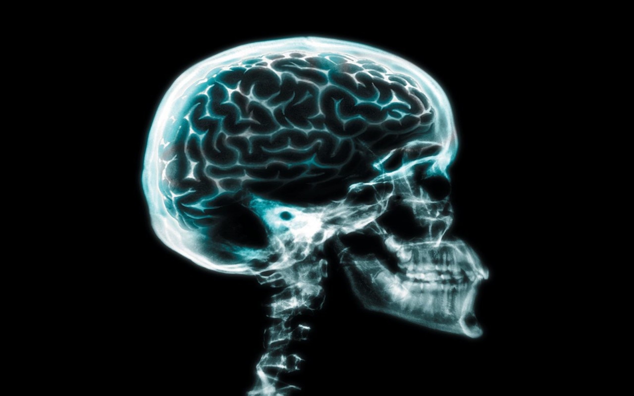 Мозг без кислорода живет. IQ мозг. Мозг человека на белом фоне. Тайны головного мозга человека.