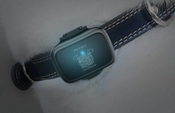 Xiaomi представила водонепроницаемый трекер для собак PETBIT - «Новости сети»