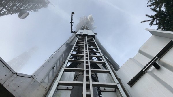 Мобильная сеть пятого поколения до конца года заработает в Сингапуре - «Новости сети»