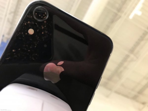 Фото дня: задняя часть 6,1-дюймового iPhone намекает на улучшенную камеру - «Новости сети»
