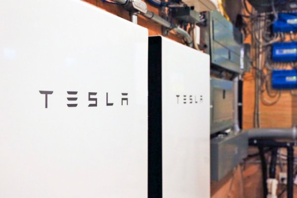 Новая функция батареи Tesla Powerwall поможет лучше подготовиться к непогоде - «Новости сети»