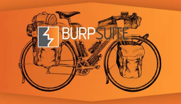 Прокачай свой Burp! 11 наиболее полезных плагинов к Burp Suite - «Новости»