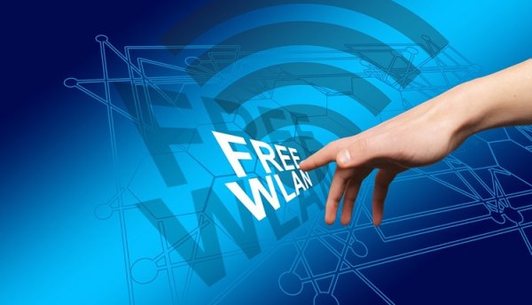 В московском музее-заповеднике «Царицыно» появился бесплатный Wi-Fi - «Новости сети»