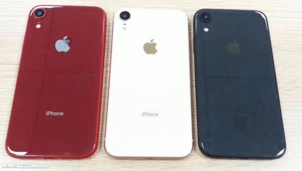 В Сети появились фотографии "дешевого" iPhone в трех цветах - «Интернет и связь»