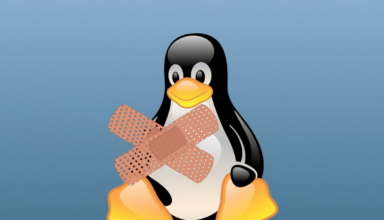 Новая уязвимость угрожает многим дистрибутивам Linux и BSD - «Новости»