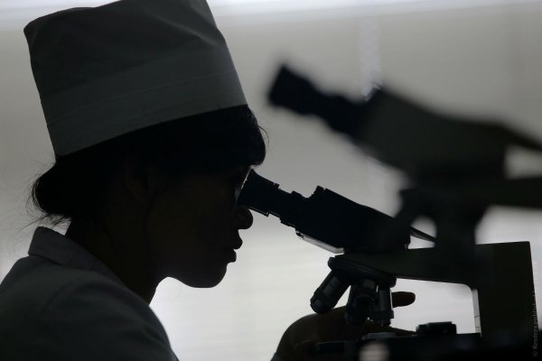 Биологи открыли сахар, который замедляет рост опухолей - «Интернет и связь»