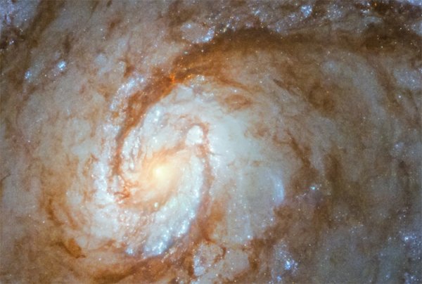 Фото дня: спиральная галактика в созвездии Волос Вероники - «Новости сети»