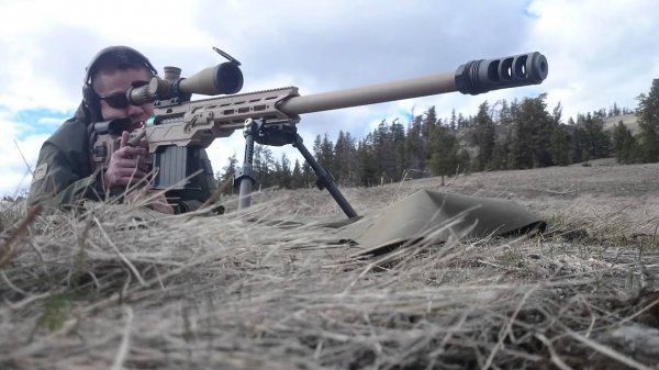 Украинские военные получат мощную снайперскую винтовку - «Интернет и связь»